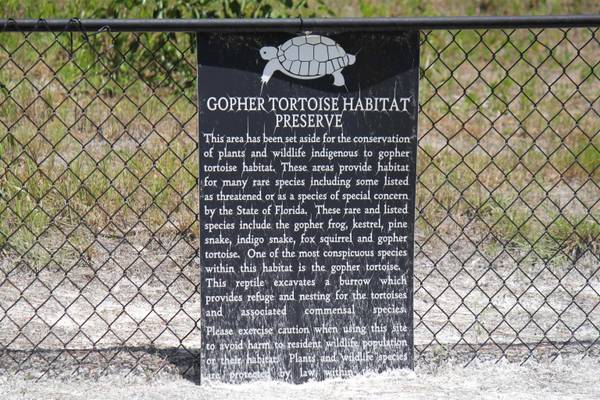 00 Painted Post Lane, Woodville, FL 32305