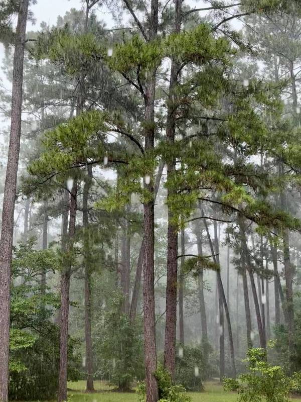 279 Indian Sink Trl, Thomasville, GA 31792