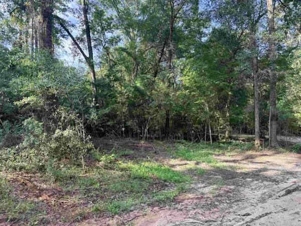 349 Green Oaks Road, Havana, FL 32333