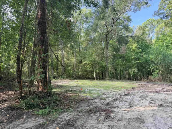 349 Green Oaks Road, Havana, FL 32333