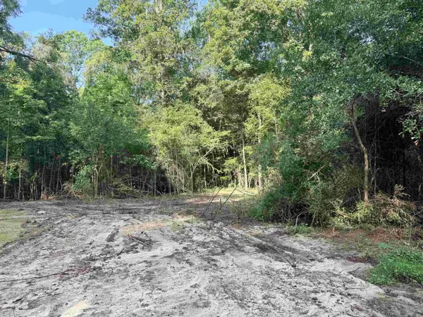 349 Green Oaks Road, Havana, FL 32333