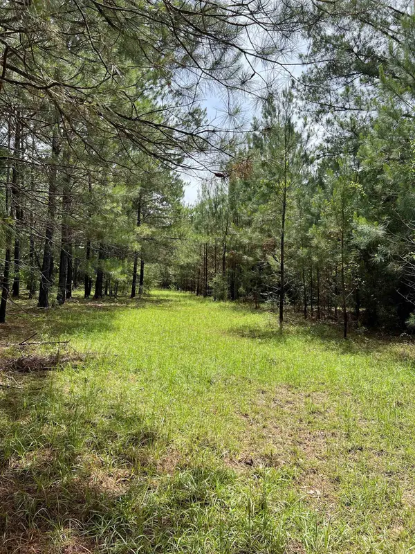 XX Orchard Road, Quincy, FL 32351