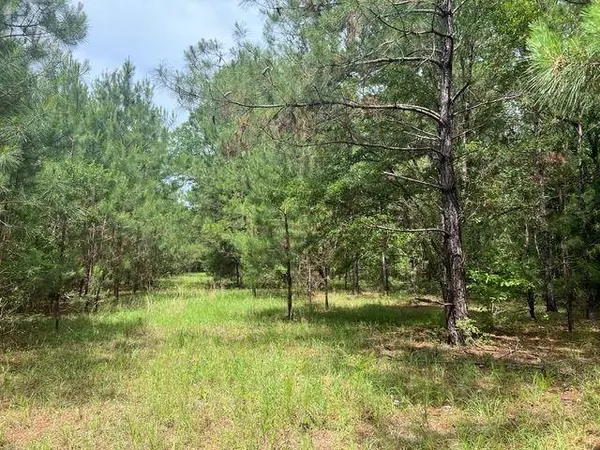 XX Orchard Road, Quincy, FL 32351