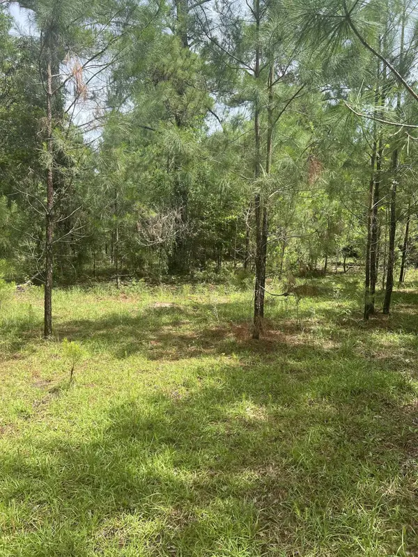 XX Orchard Road, Quincy, FL 32351