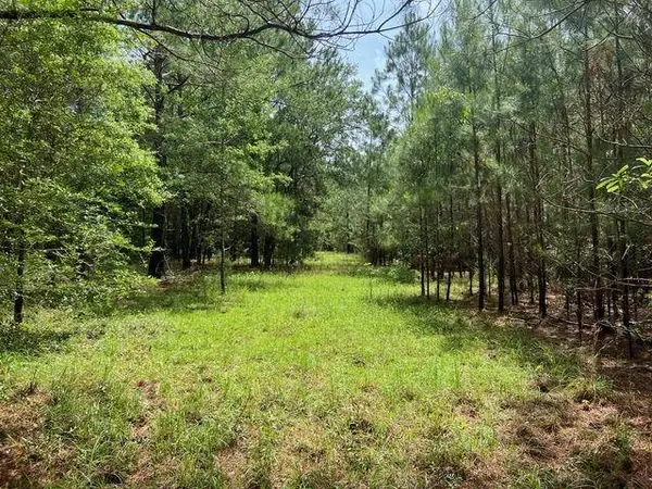 XX Orchard Road, Quincy, FL 32351