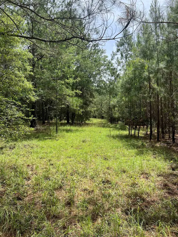 XX Orchard Road, Quincy, FL 32351