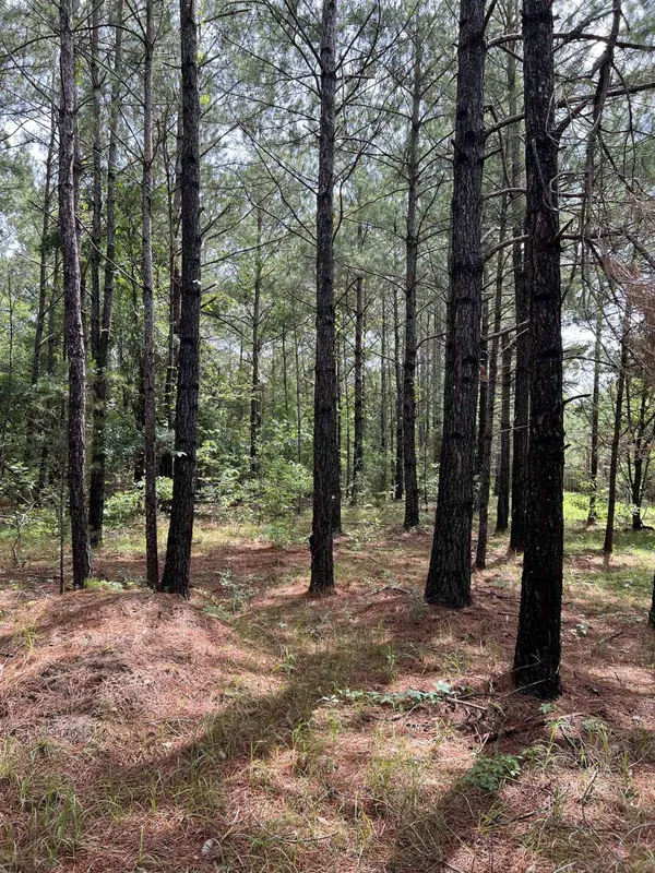 XX Orchard Road, Quincy, FL 32351