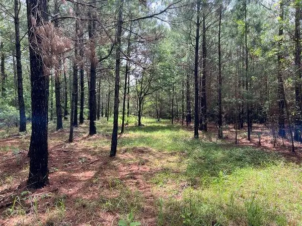 XX Orchard Road, Quincy, FL 32351