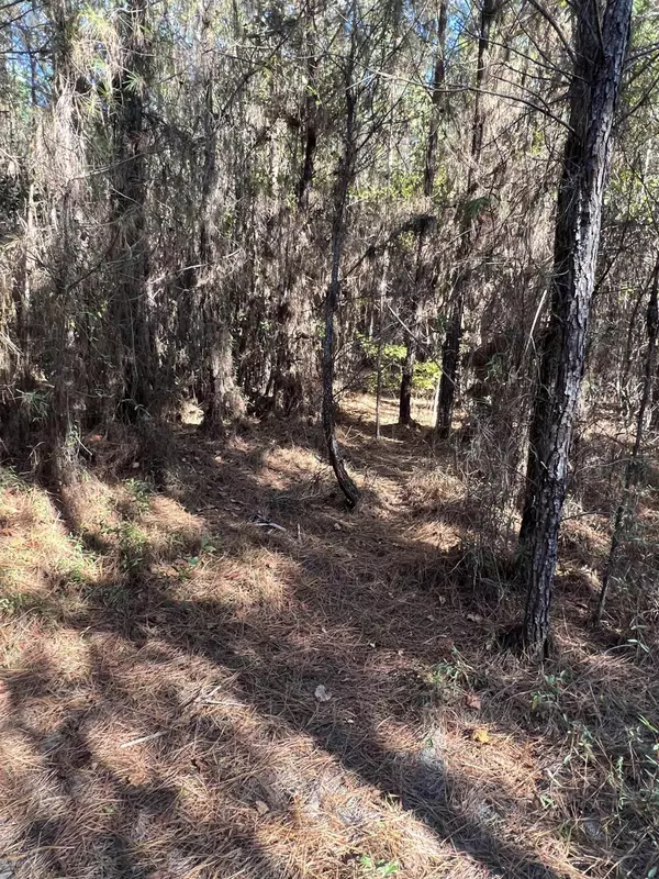 7585 Sycamore Road, Greensboro, FL 32330