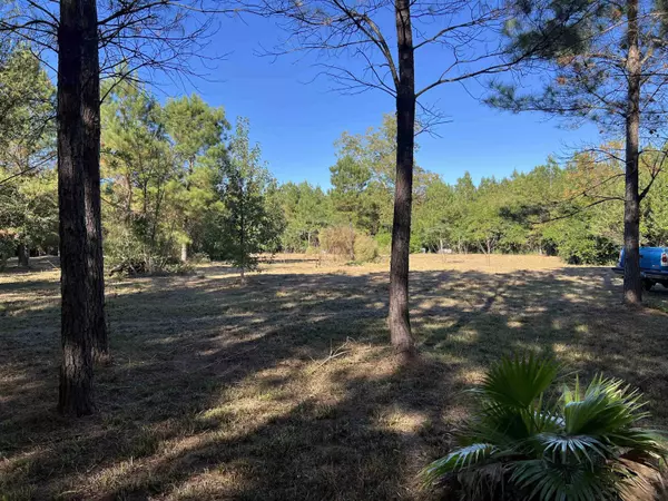 7585 Sycamore Road, Greensboro, FL 32330