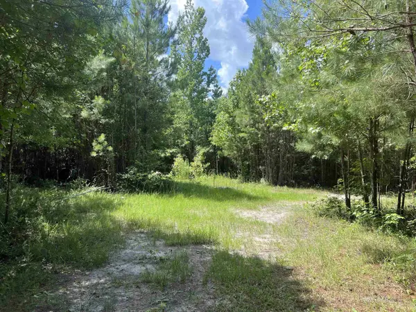 xx Hardaway Highway, Gretna, FL 32332