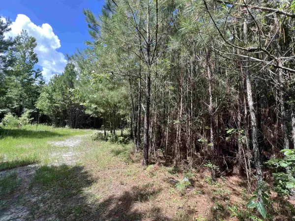 xx Hardaway Highway, Gretna, FL 32332