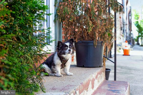 1614 S 18TH ST, Philadelphia, PA 19145