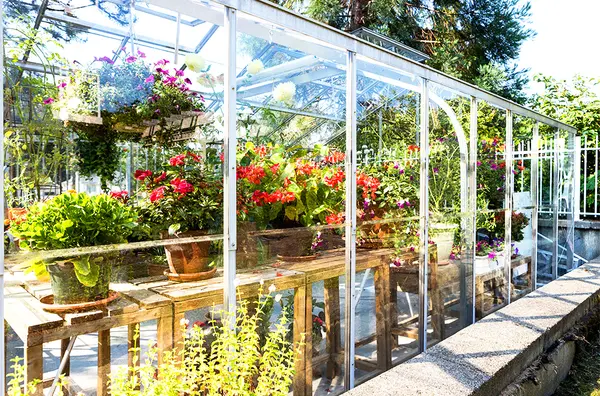 Mayfair Terrace | Greenhouse | Port Coquitlam