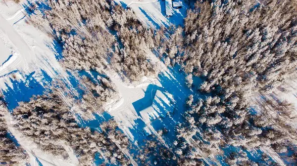 13 742033 Range Road 53, Rural Grande Prairie No. 1, County Of, AB T0H 3C0