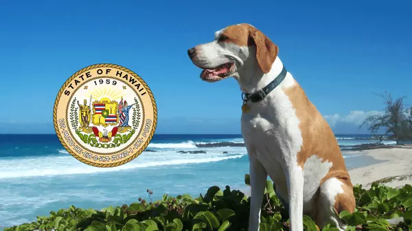 State of Hawaii Pet Quarantine Information