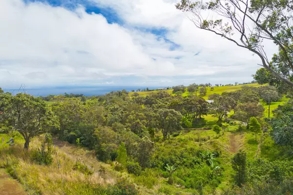 KUKUIPAPA RD, Honokaa, HI 96727