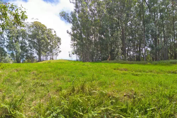 KUKUIPAPA RD, Honokaa, HI 96727