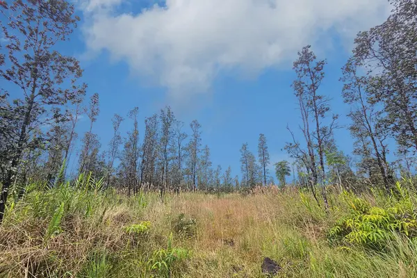 ROAD 9 (KOLOA MAOLI), Kurtistown, HI 96760