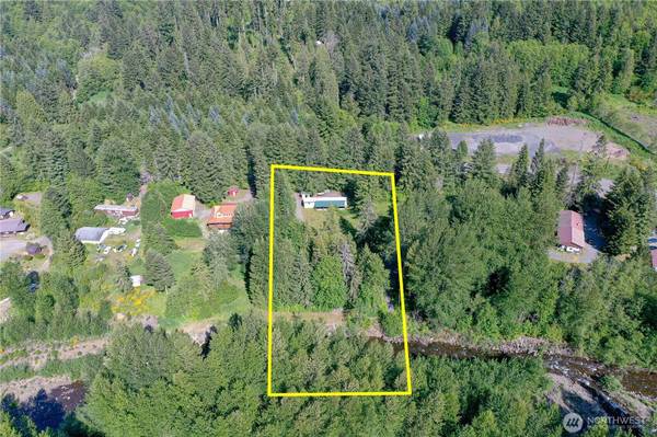 428 Mineral Creek RD #29, Mineral, WA 98355