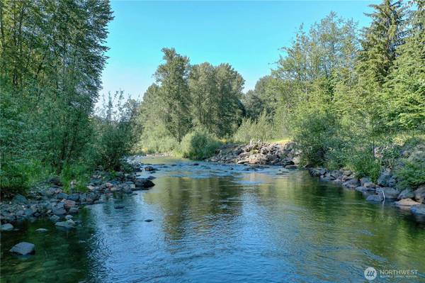 428 Mineral Creek RD #29, Mineral, WA 98355