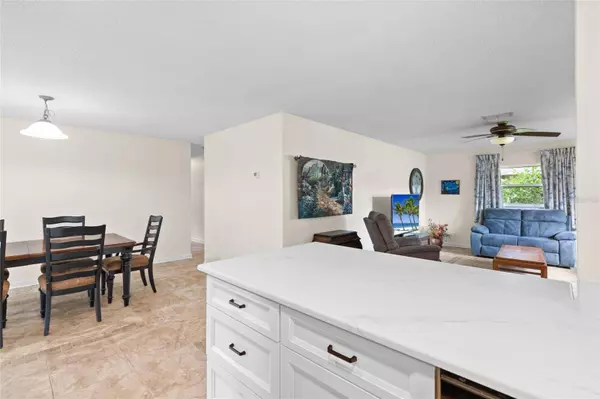 1811 HIBISCUS CT S, Oldsmar, FL 34677