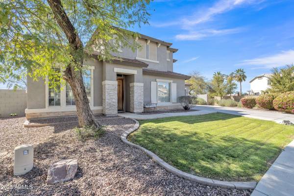 3419 E ROSA Lane, Gilbert, AZ 85297