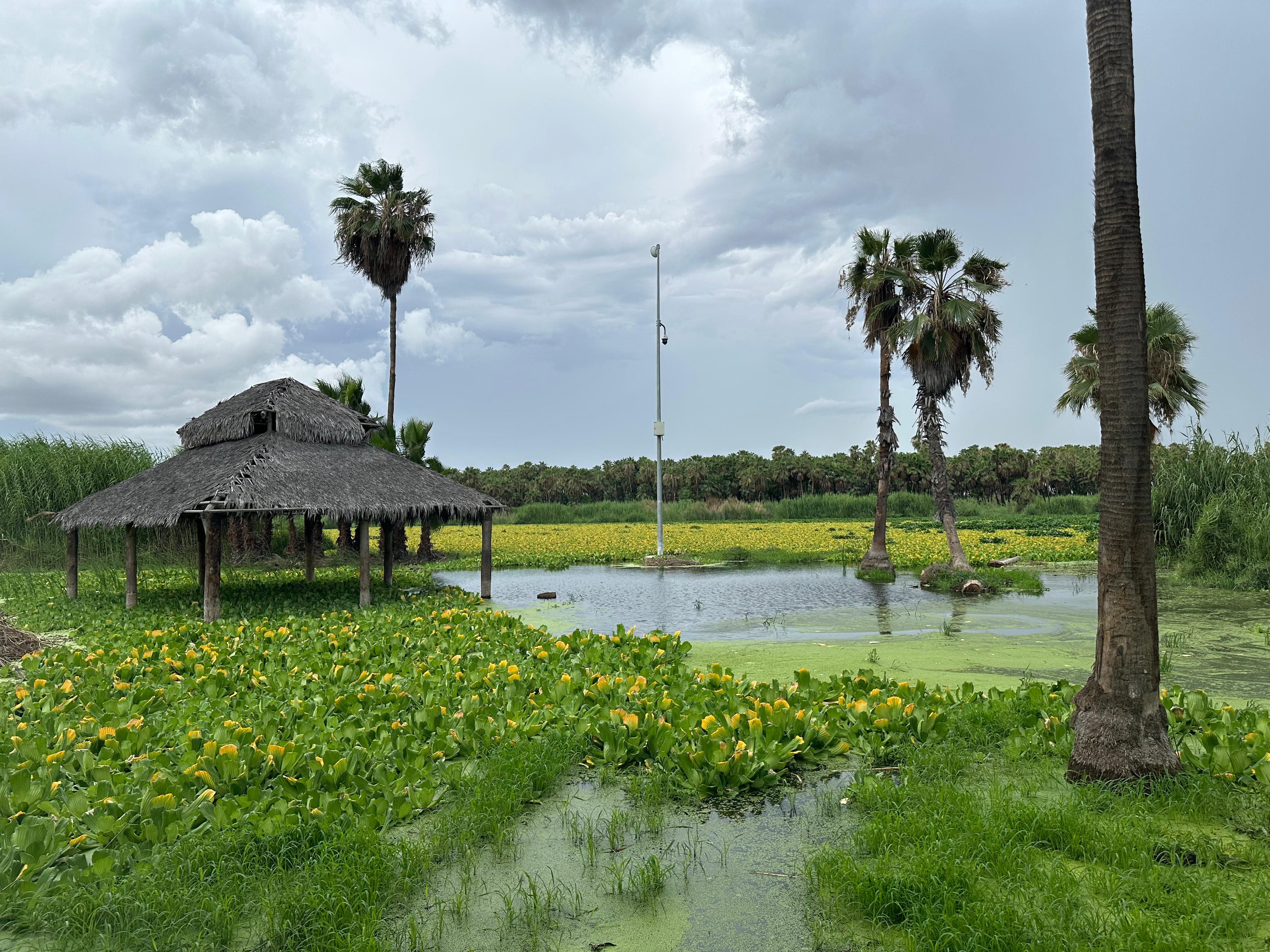 baja california sur nature reserve