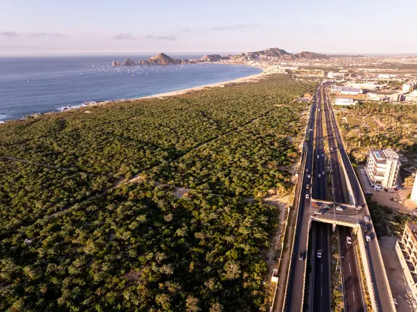 feature image of THE CABO ADVANTAGE
