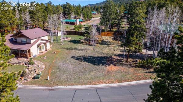 620 Skyline DR, Woodland Park, CO 80863