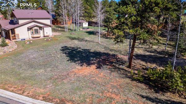 620 Skyline DR, Woodland Park, CO 80863