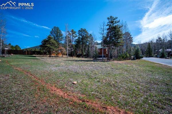 620 Skyline DR, Woodland Park, CO 80863