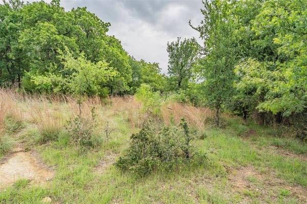 Lot 253 Cote D Azur Drive, Chico, TX 76431