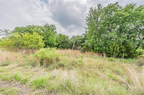 Lot 253 Cote D Azur Drive, Chico, TX 76431
