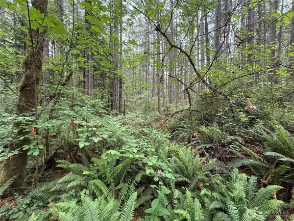 13257 118th AVE NW, Gig Harbor, WA 98329