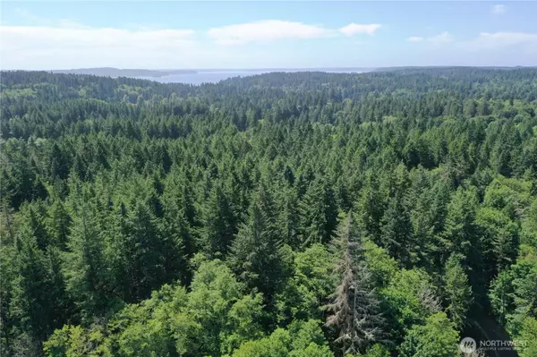 13257 118th AVE NW, Gig Harbor, WA 98329