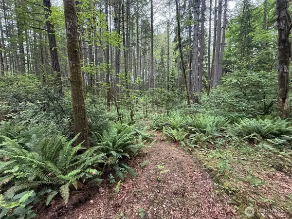 13257 118th AVE NW, Gig Harbor, WA 98329