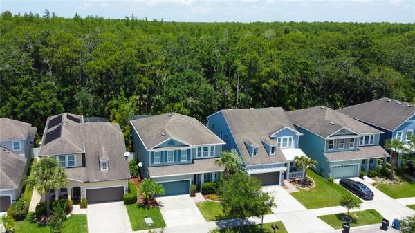 11606 QUIET FOREST DR, Tampa, FL 33635