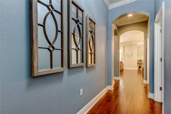 11606 QUIET FOREST DR, Tampa, FL 33635