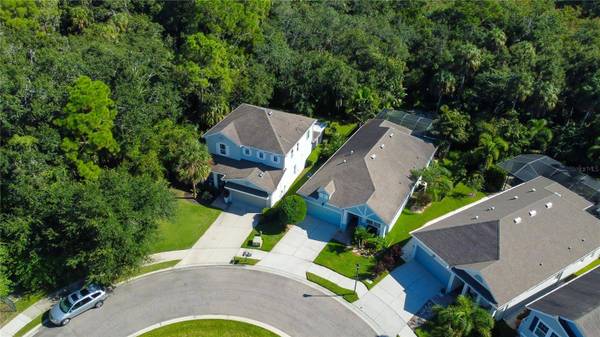 11624 QUIET FOREST DR, Tampa, FL 33635