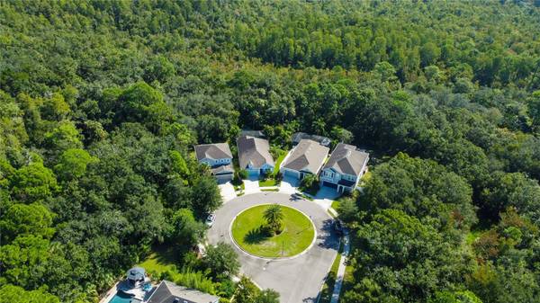 11624 QUIET FOREST DR, Tampa, FL 33635