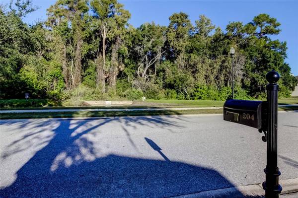 204 BAY ARBOR BLVD, Oldsmar, FL 34677