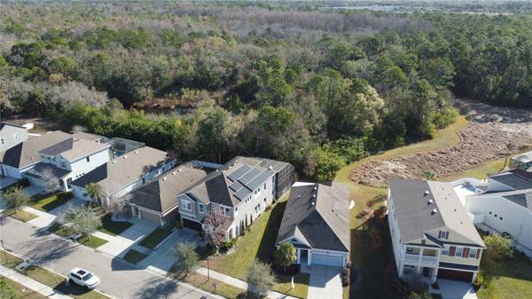 11403 QUIET FOREST DR, Tampa, FL 33635