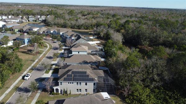 11403 QUIET FOREST DR, Tampa, FL 33635