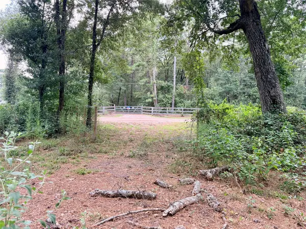 10012 Bentley DR, Hockley, TX 77447