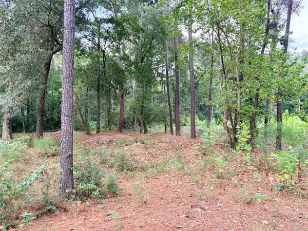 10012 Bentley DR, Hockley, TX 77447