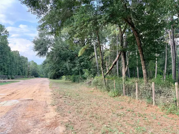 10012 Bentley DR, Hockley, TX 77447