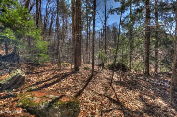 0 Tyringham Rd, Otis, MA 01253