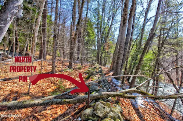 0 Tyringham Rd, Otis, MA 01253