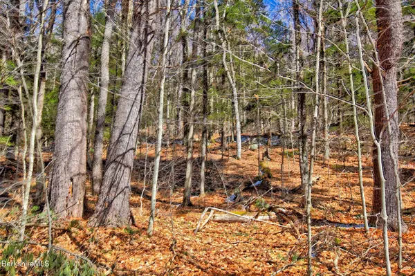 0 Tyringham Rd, Otis, MA 01253